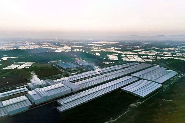 The Day Of 5th. June-- World Environment Day | Low-carbon First, Be An Advoca...