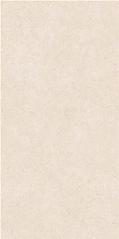 Limestone D'oro——Beige Sea Shell Textured Slab